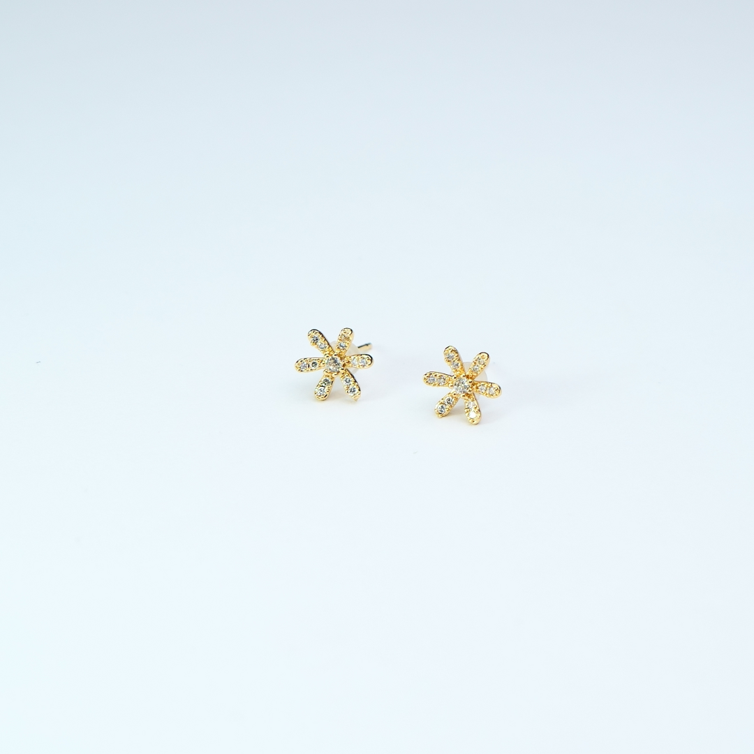 Design sans titre - 2023-12-01T102636.299